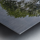 Giraffe Sweetwaters kenya Metal print