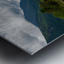 Heron cove Pitt lake B.C Metal print