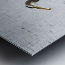 Great Blue Haron Metal print