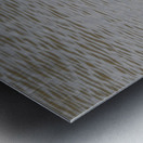 Black winged stilt Sweetwaters kenya Metal print