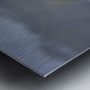 Eagle Lake Nakuru kenya Metal print