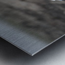 Ibis bird Sweetwaters kenya Metal print