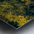 Village of honiara Metal print