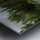 Cambie Creek E.C. Manning Provincial Park B.C Metal print