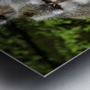 Monkey Forest Bali Metal print