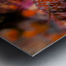 Longfin sculpin Keystone jetty Washington state Metal print