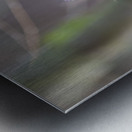 Anns Hummingbird  Fort Langley  Metal print