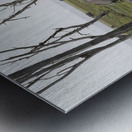 Elephant Amboseli National Park Kenya Metal print