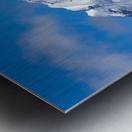 Glacier Bay Metal print