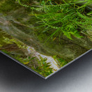 Koko-Em Gardens Kobe Japan 2 Metal print