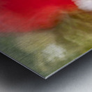 Poppy ICM Metal print