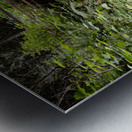 Bridal falls creek Metal print