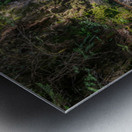 Rolley Lake falls Mission British Columbia 2 Metal print