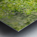 rifel bird sanctuary Metal print