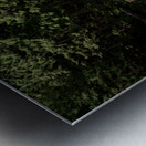 Gold Creek Falls Golden Ears Provincial Park British Columbia  Metal print