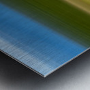  On the lake bog Houston trail Fort Langley Britsh Columbia Canada Metal print