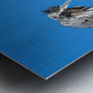 Great Blue Haron Fraser River Fort Langley  Metal print