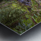 Bridal Creek Chilliwack British Columbia Metal print