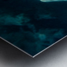 Convict Tang Metal print