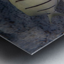 Convict Tang 2 Metal print