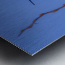 Rufous Hummingbird Metal print