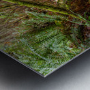 Flowing Creek at golden ears provincial Park British Columbia 2. Metal print