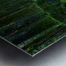 Trail in the woods Metal print