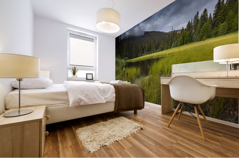 E.C Manning Provincial park British Columbia Mural print