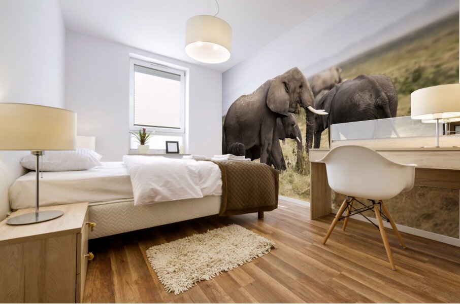 African elephants Amboseli National Park Kenya Mural print