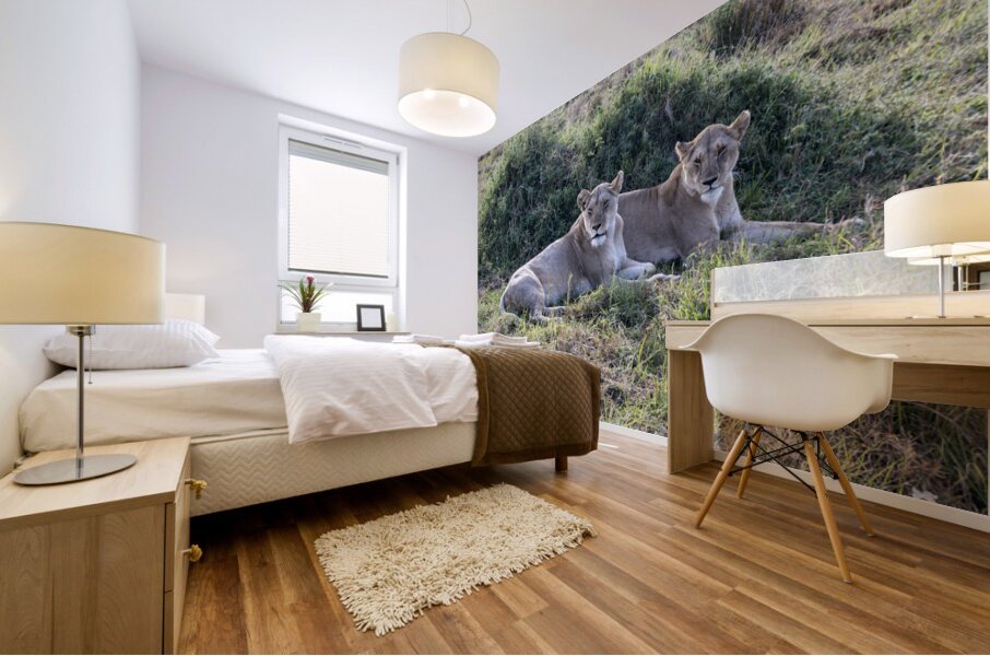 Ashnil Masai Mara Mural print