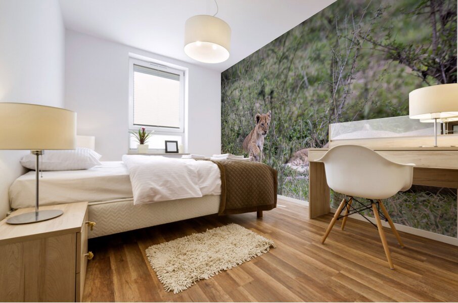 Lion cub masai mara Mural print