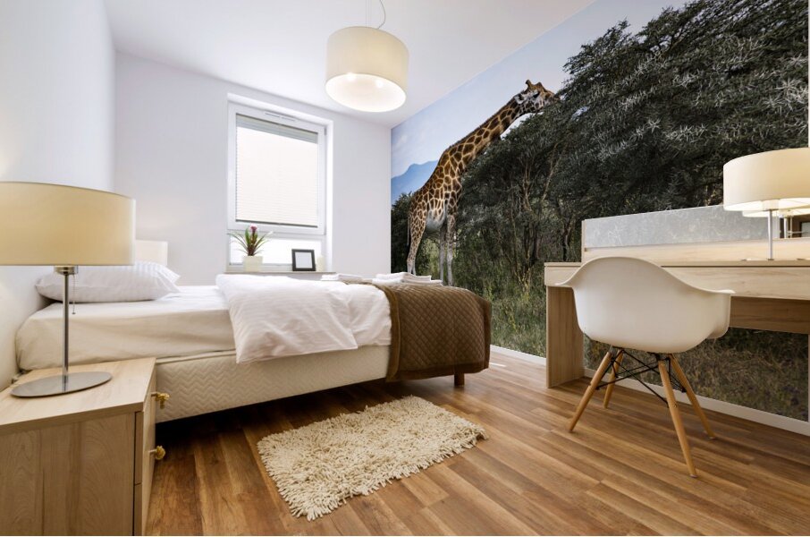 Giraffe Lake Nakuru kenya Mural print