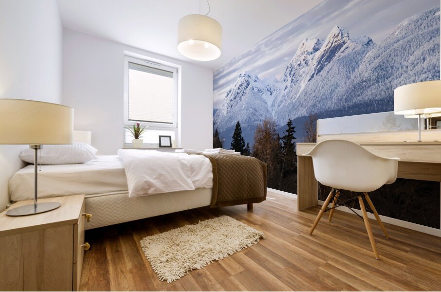 Golden Ears Provincial Park British Columbia Golden Ears Mountain Mural print