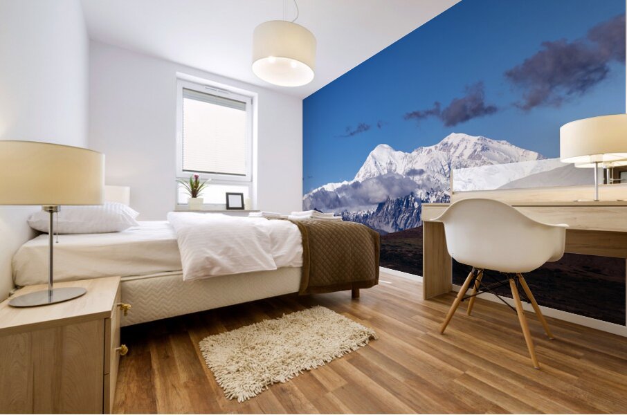Mt.Denali  Mural print