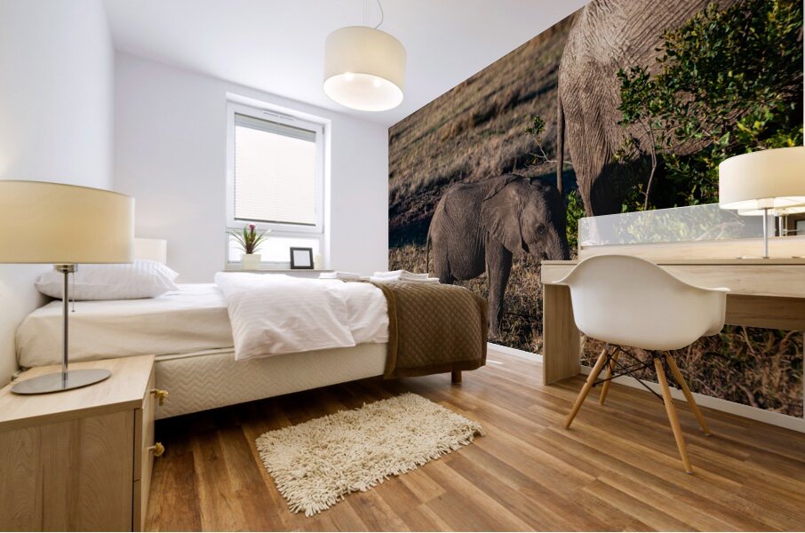 African elephant Mural print