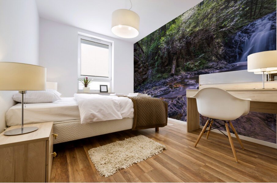 Rolley Lake falls Mission British Columbia 3 Mural print