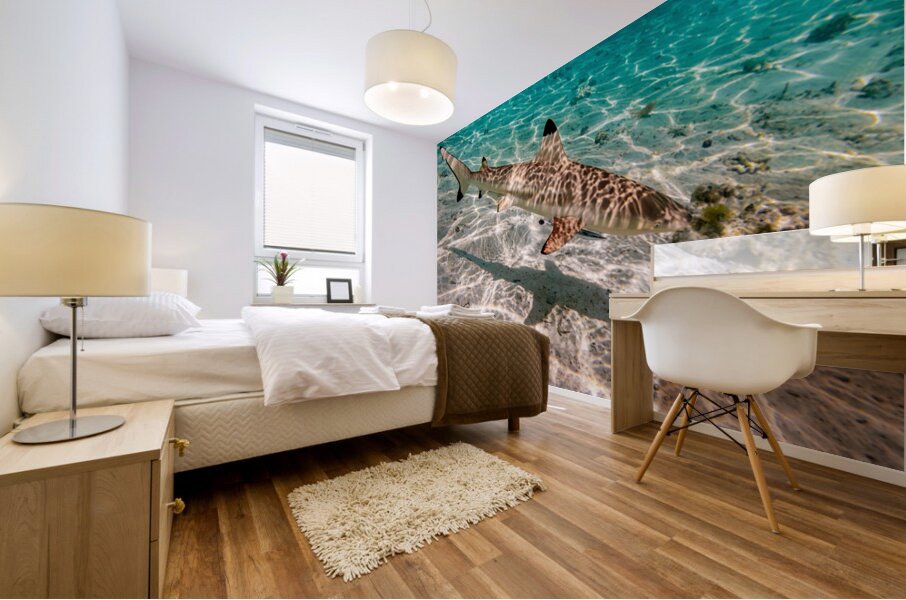 Black Tip Shark 3 Mural print
