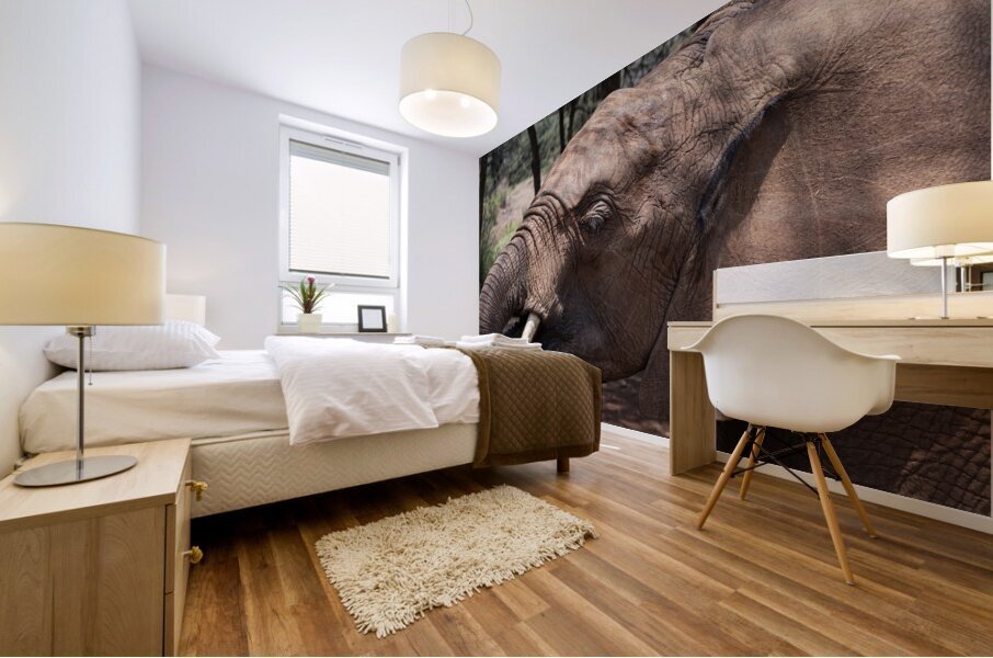 Orphaned elephants rehab center Sheldrick wildlife Mural print