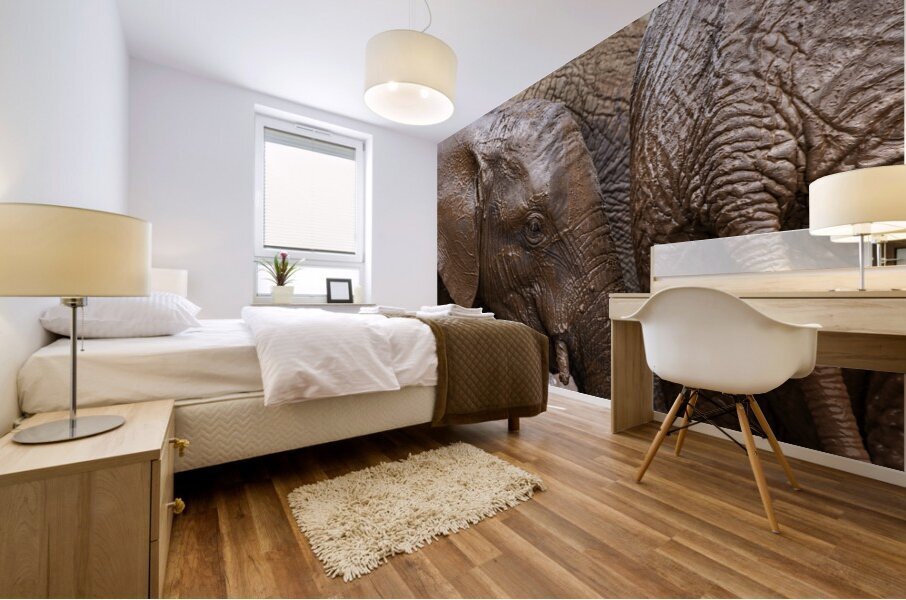 Orphaned elephants rehab center Sheldrick wildlife Mural print