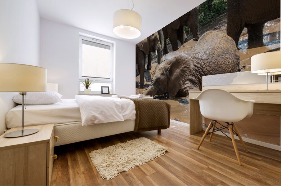 Orphaned elephants rehab center Sheldrick wildlife Mural print