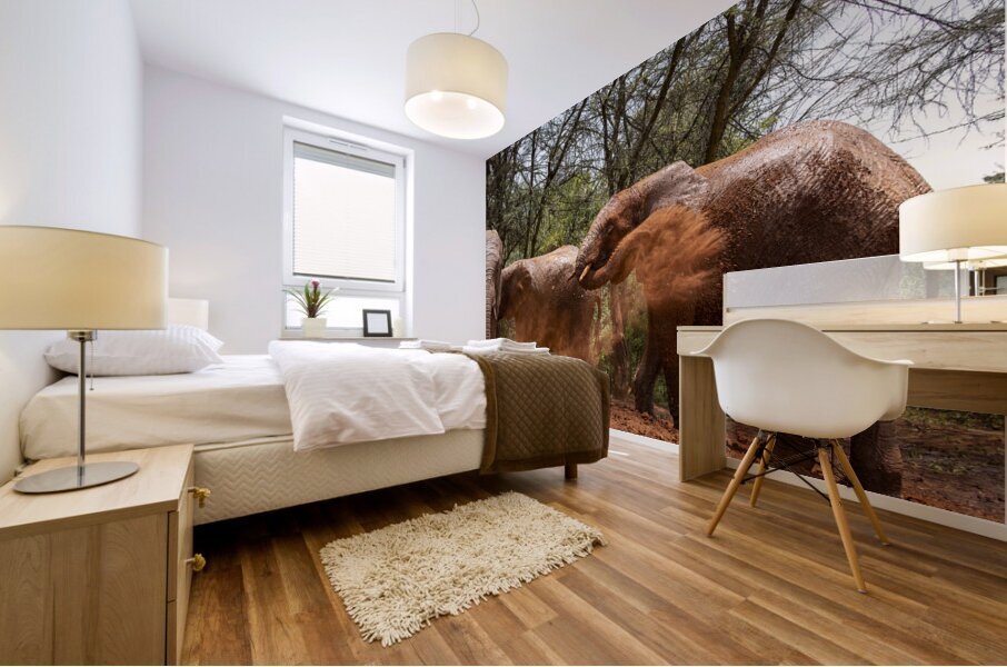 Orphaned elephants rehab center Sheldrick wildlife Mural print