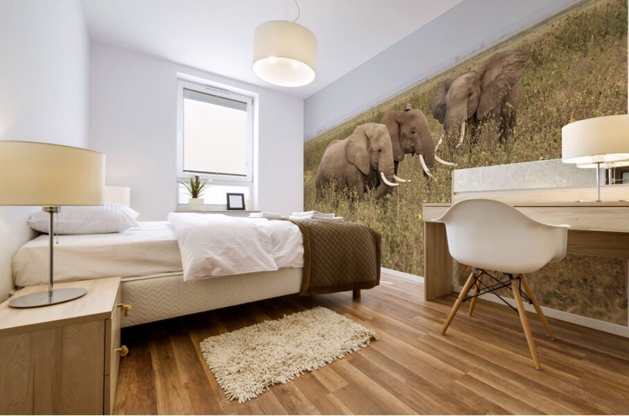 African Elephants Amboseli National Park Kenya Mural print