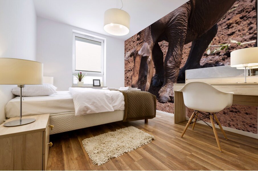 Sheldrick wildlife trust Nairobi  Mural print