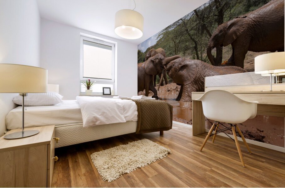 Orphaned elephants rehab center Sheldrick wildlife Mural print