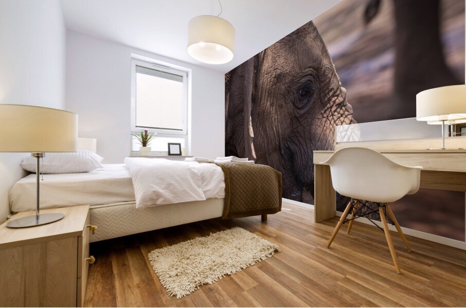 Orphaned elephants rehab center Sheldrick wildlife Mural print