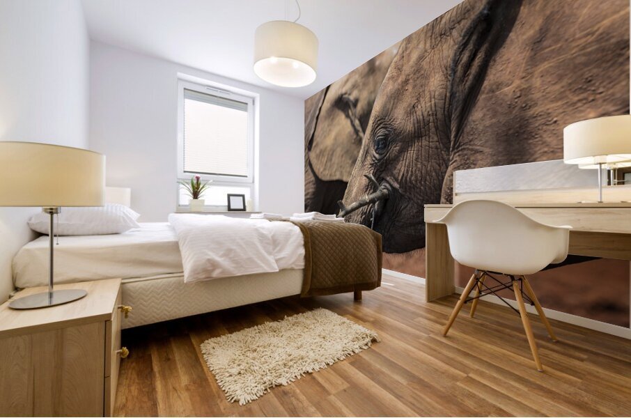 Orphaned elephants rehab center Sheldrick wildlife Mural print