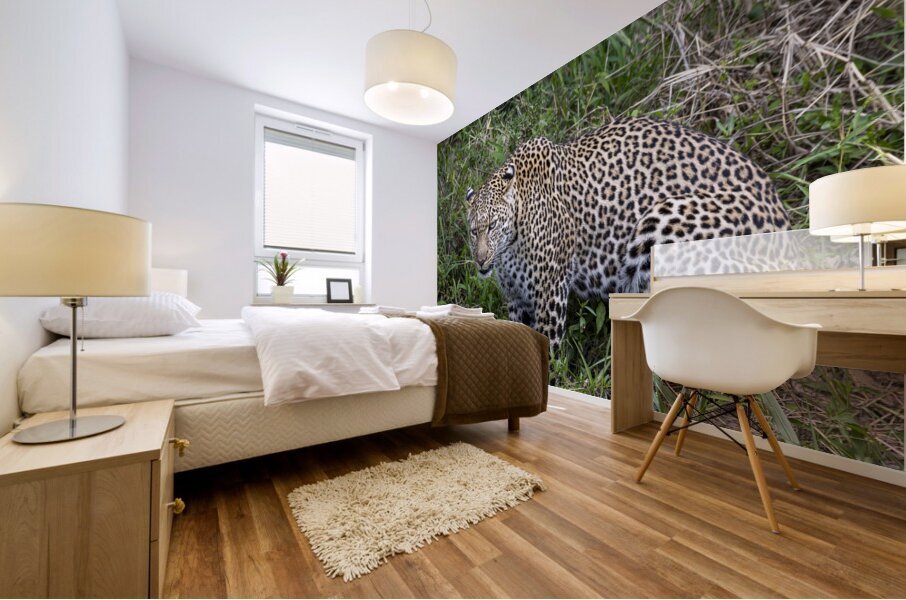 Leopard Mural print