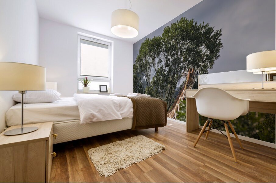 Giraffe Sweetwaters kenya Mural print