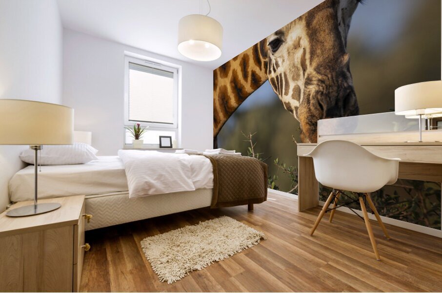 Giraffe Lake Nakuru kenya Mural print