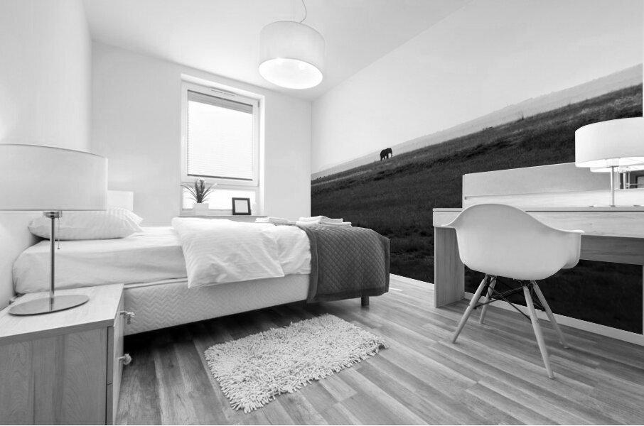 Elephant Amboseli National Park Kenya Mural print